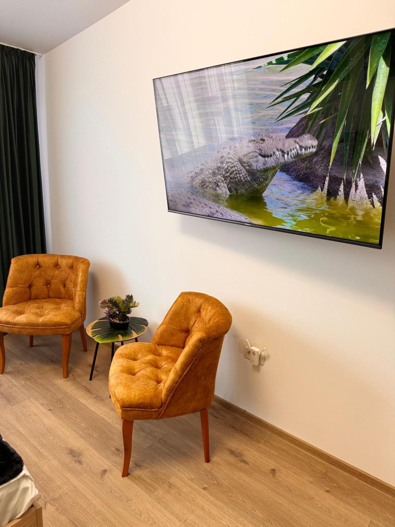 Jungle Loft Leilighet Suceava Eksteriør bilde